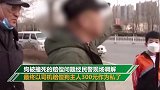 未拴绳宠物狗造成追尾被撞死索赔800元 经协商300元私了