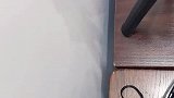 小可爱躲起来了怎么办
