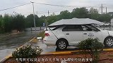 “电子驾照”替代纸质驾照将成真？部分地区已试行，你支不支持