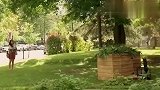 给狗狗戴上听话项圈，路人按了按钮竟然炸了，结局太逗了