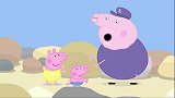 小猪佩奇：他们捡到了海螺，他却捡到了化石，太有趣了！