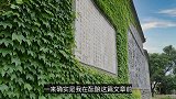 从这里回来，突然想再去上四年大学了