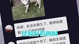把这期小时候的巴哥可以截个图，不然很容易被当成巴哥来卖哦