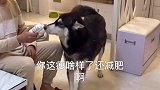 这就是不减肥的理由