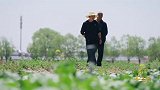 #视听中国 广西“石榴花开向未来”“三月三”新视听作品大赛 一等奖：《黄河谣：黄河上高塬》