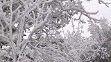 美如仙境！韶关高寒山区等地出现雾凇和冰挂景观