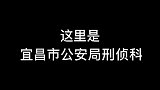 当诈骗电话打到警局看警花小姐姐，会发生怎样的故事