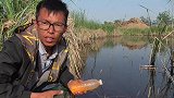 自制窝料打窝，效果好不好，看看就知道，从来就没钓过这么爽
