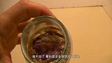 老外做实验，无敌的粉碎机也遇到对手，原来鸡蛋没想象中那样脆弱