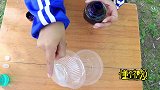 学生为了不写作业，做墨水开花实验，没想搬起石头砸自己的脚