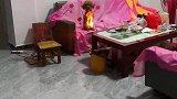 小狗坐在火中一动不动，女子仔细一看才发现是反光