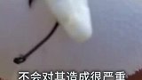 当河豚鼓起来的时候拿针扎它会怎样