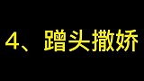 猫咪蹭头撒娇的认错