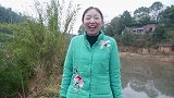 小雨用红枣枸杞熬啤酒，酱上一大锅骨头做下酒菜，酥香软烂带劲