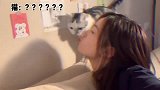 美女唱歌给猫咪听，可猫咪的表情说明了一切，还不让亲