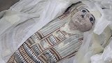 古埃及木乃伊现3000年前头发 用特质香油护发超3000年