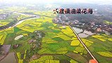航拍-衡阳县西渡镇油菜花海，武水河呈S形从花海中穿过，美轮美