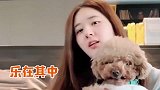 赵露思带狗狗表演呲牙，生活不易狗狗也多才多艺哈哈哈