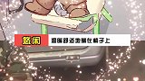生活不易，喵喵卖鱼