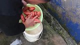 农家自种蜜薯用烤箱做出来孩子们都爱吃，来自沂蒙山费县里的美味