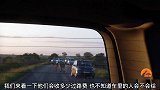 狮子拦车，汽车都停下来看狮子，车镜子还被咬了