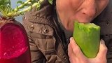 又脆又甜又水灵 好吃的水萝卜 生吃凉拌都好吃