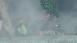 蓝盔特战队第07集(预告)