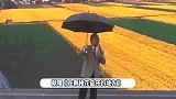生活不易！76岁歌唱家蒋大为冒雨商演，肩膀淋湿观众却寥寥无几