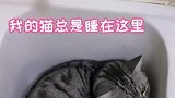 点点愚蠢的人类，以为我会害怕，格局小了啊