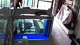 鱼：漏电了，鱼缸漏电了，有没有人！