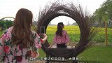 北京周边游，800亩花海太美了，田间小火车一定要坐
