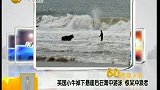 英国小牛掉下悬崖后在海中游泳 惊呆冲浪者-6月26日