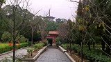泉州古城，实拍唯美的开元寺，旅游不可错过的地方