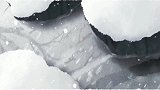 温馨幽默动画，大雪中走失方向的小狐狸，多少人以为黑影是大灰狼