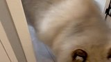 你们的小可爱起床了