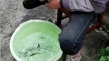 我好想逃，却逃不掉