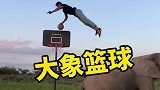 你觉得哪个投篮镜头的难度是最高的？