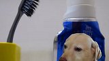 小刷同学你的网络延迟有点久哦