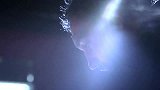 UFC-15年-UFC192完整版宣传片：科米尔新王卫冕首战 亨德里克斯再争次中挑战权-专题