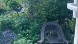 这房买的真值，一开窗就是墓地