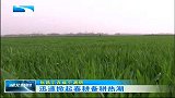湖北新闻-20120324-迅速掀起春耕备耕热潮
