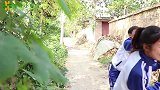 小伙伴们带着妈妈下地抓蛐蛐，妈妈看到了什么，竟然吓跑了？