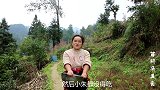 苗大姐来份爱心红烧肉，一长条没几下就吃光了，不肥不腻好吃
