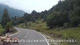 公羊被主人强行剃毛后彻底怒了，直接站路中间拦车，让人哭笑不得