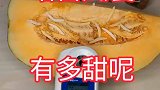 你知道哈密瓜囊有多甜吗？让我们一起看看吧！