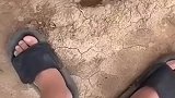 丢石头多少带点私人恩怨