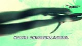 改写贝利亚一生的四个男人：一个让他背叛光之国，一个杀死了他！