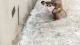 一孕傻三年，个个傻出新高度啊！