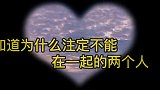 情感语录  若无相欠  怎会相见