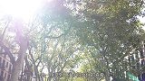 该国对我国取消免签后，出现百万吨水果腐烂，网友：反悔也没用